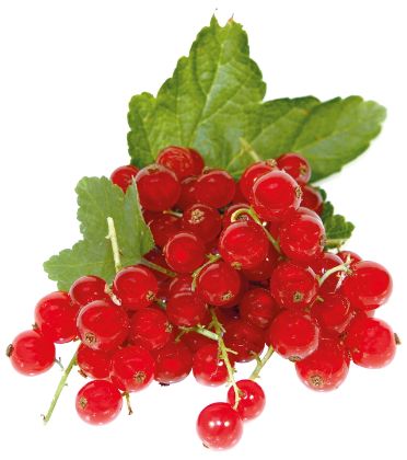 Obrázek GRANITA ČERVENÝ RYBÍZ 10 x 1 kg (doprodej->zrušeno)